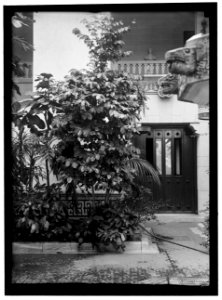 PAN AMERICAN UNION. CORNER OF PATIO LCCN2016866889