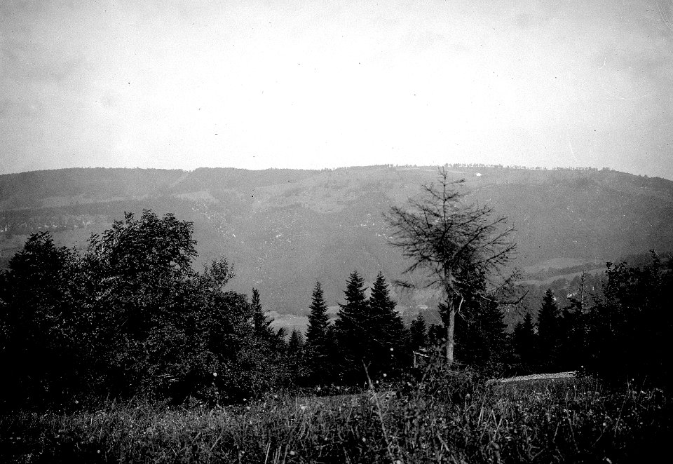Panorama Chez Basuel - CH-BAR - 3236540