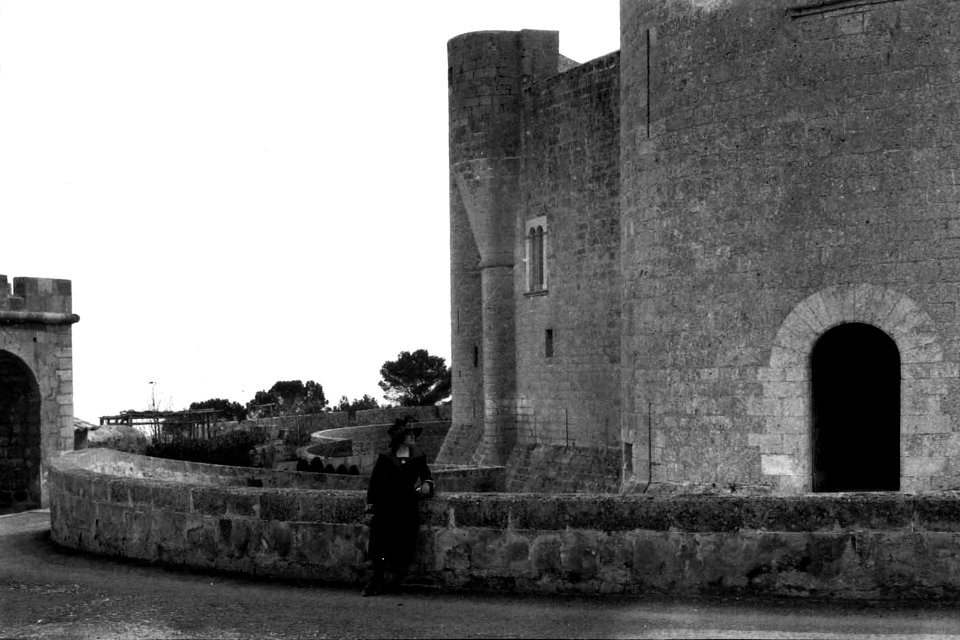 Panorama de Bellver (FMF P 069c)
