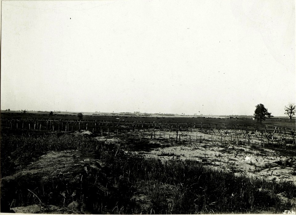 Panorama des russischen Vorfeldes zwischen Mniszkòw und Kolonie Jawòr. Im Vordergrund eigene Drahtverhaue. (BildID 15589909)