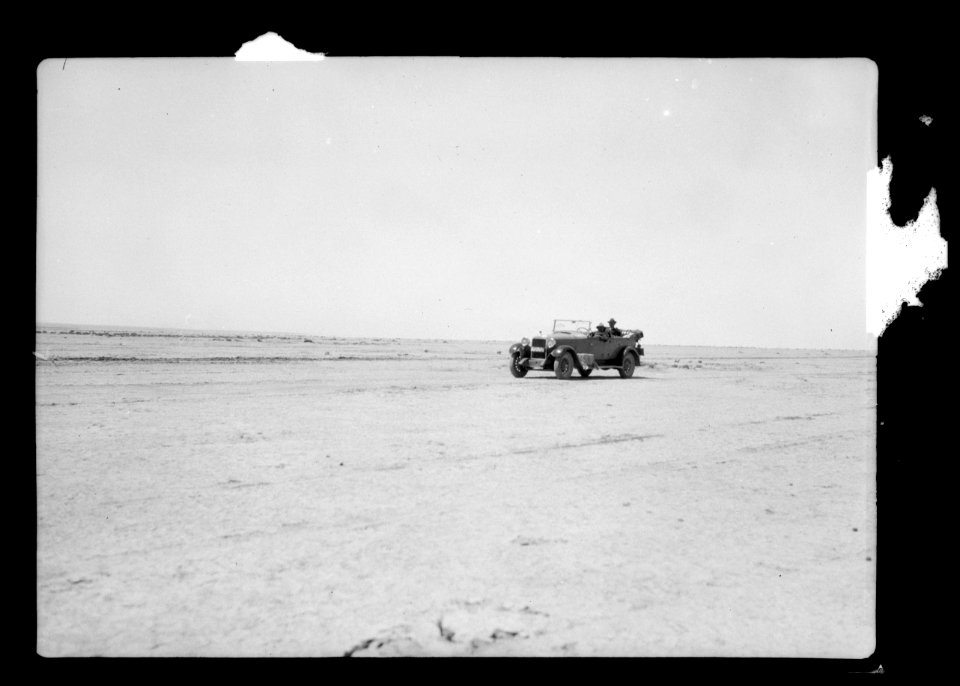Palmyra. The desert of Palmyra LOC matpc.15494