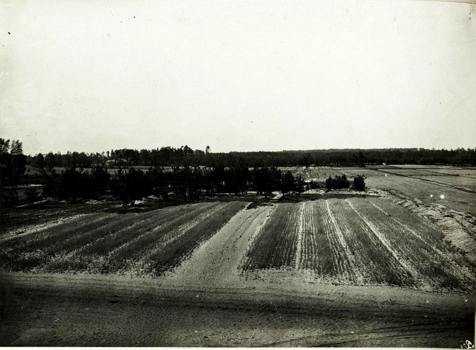 Panorama eigener Stellungen bei und nördlich von Gorzanow (Grafenort). Eigene Schützengräben erkennbar. Geländecharakteristik des Angriffsraumes. (BildID 15589494)