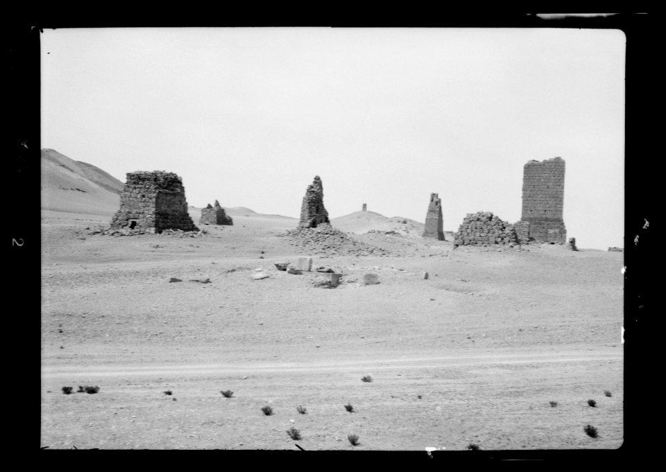 Palmyra. Western cemetery. Some of the tomb towers LOC matpc.15495