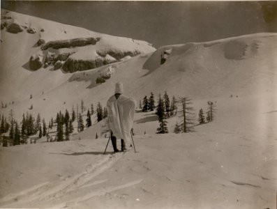 Panorama gegen die Abhänge der Feldwachen auf dem Lanzenboden, Maldatschen. Stpkt, am Lanzenboden. (24-5.1917.) (BildID 15800324)