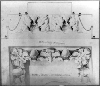 Panel in ceiling of colonnade of dome LCCN2002718046