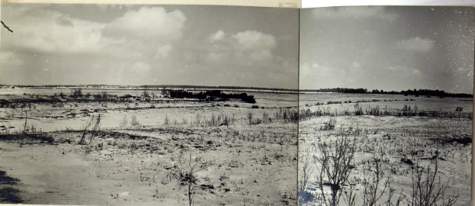 Panorama Kolopiecz-Kol.Jachinowka. (BildID 15692469)