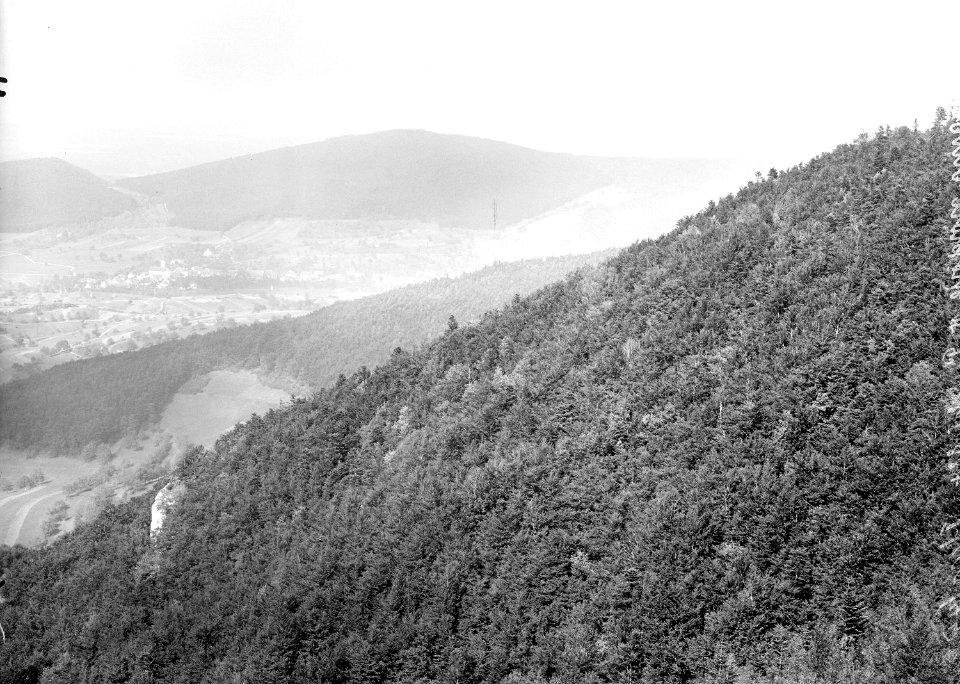 Panorama nordöstlich von Punkt 884 - CH-BAR - 3237565
