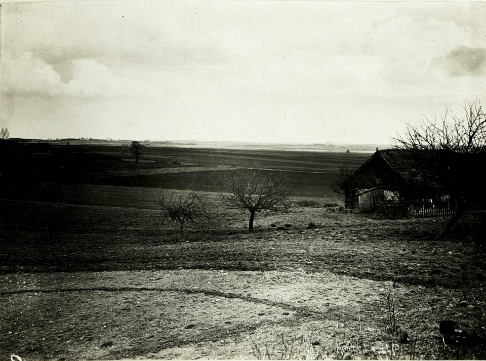Panorama bei Krzeszòw. Deutsche Süd - Ost Angriffsfront 1914, von der Kirche Krzeszòw gesehen. (BildID 15588966)