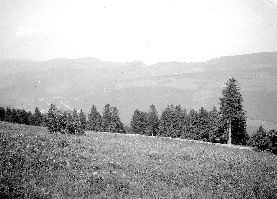 Panorama Chez Basuel - CH-BAR - 3236542