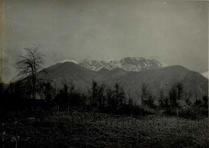Panorama der Wocheiner Berge (Krn Gruppe) vom Geschützstand der Honved Feldkanonenbatterie 4-6 auf Kote 509 südlich Tolmein. (BildID 15465796)