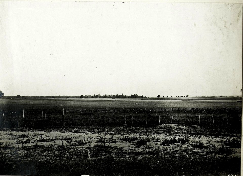 Panorama des russischen Vorfeldes zwischen Mniszkòw und Kolonie Jawòr. Im Vordergrund eigene Drahtverhaue. (BildID 15589923)