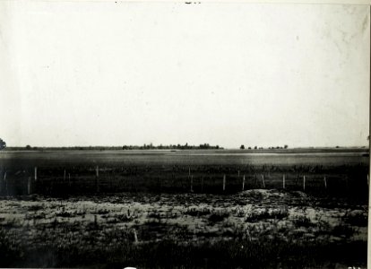 Panorama des russischen Vorfeldes zwischen Mniszkòw und Kolonie Jawòr. Im Vordergrund eigene Drahtverhaue. (BildID 15589923)