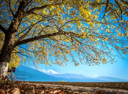 Landscape nature bike