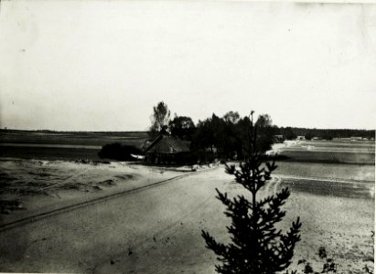 Panorama eigener Stellungen bei Follwark westlich Gorzanow. Geländecharakteristik des Angriffsraumes. (BildID 15589480)