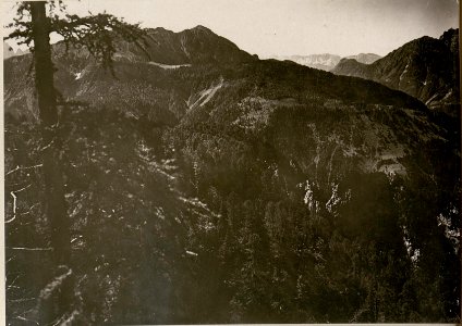 Panorama vom Art.-Beobachter, Hinterer Scit gegen ¤ 1181, Fellatal und Brisia. (13-8.1917.) (BildID 15802519)
