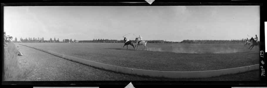 Palm Beach polo LCCN2017656480