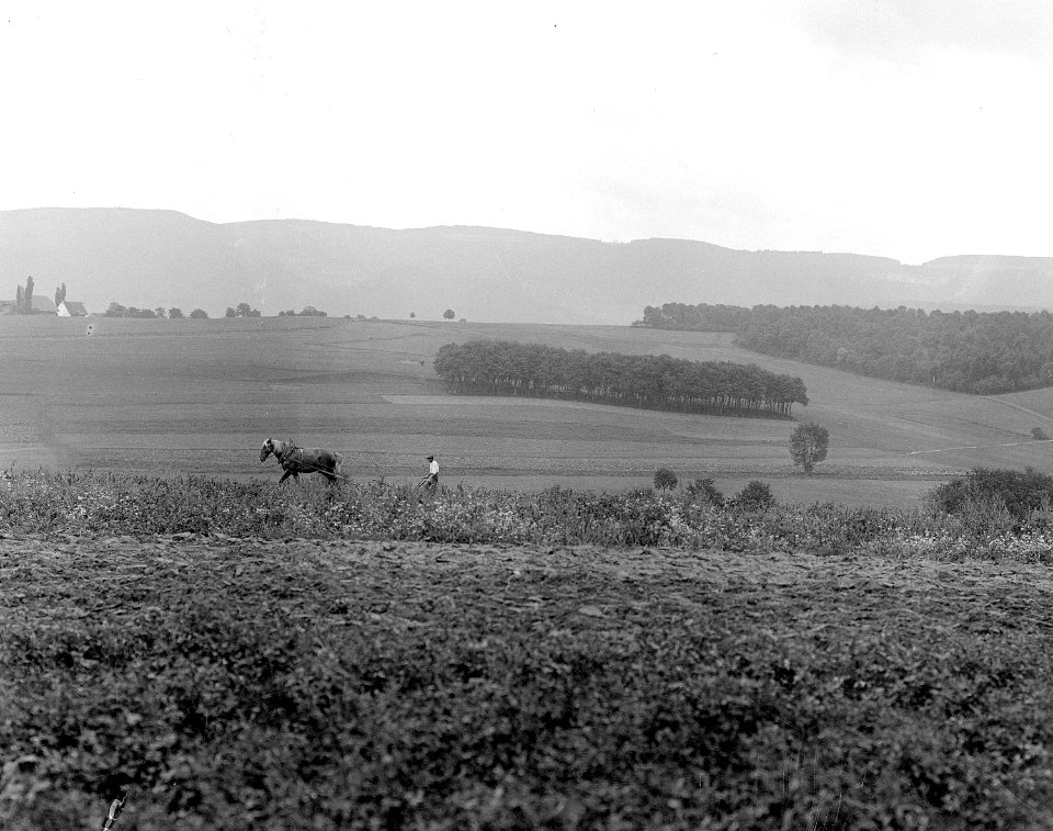 Panorama gegen Schlatthof - CH-BAR - 3237481