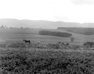 Panorama gegen Schlatthof - CH-BAR - 3237481