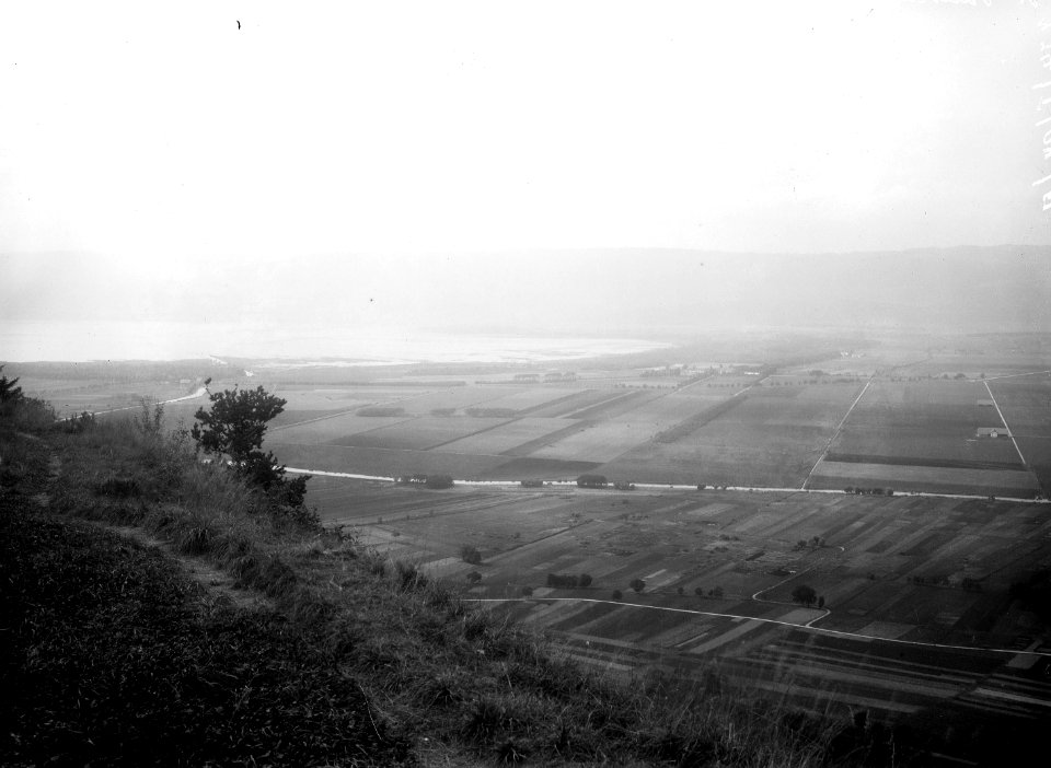 Panorama vom Mont Vully auf Neuenburgersee - CH-BAR - 3241741