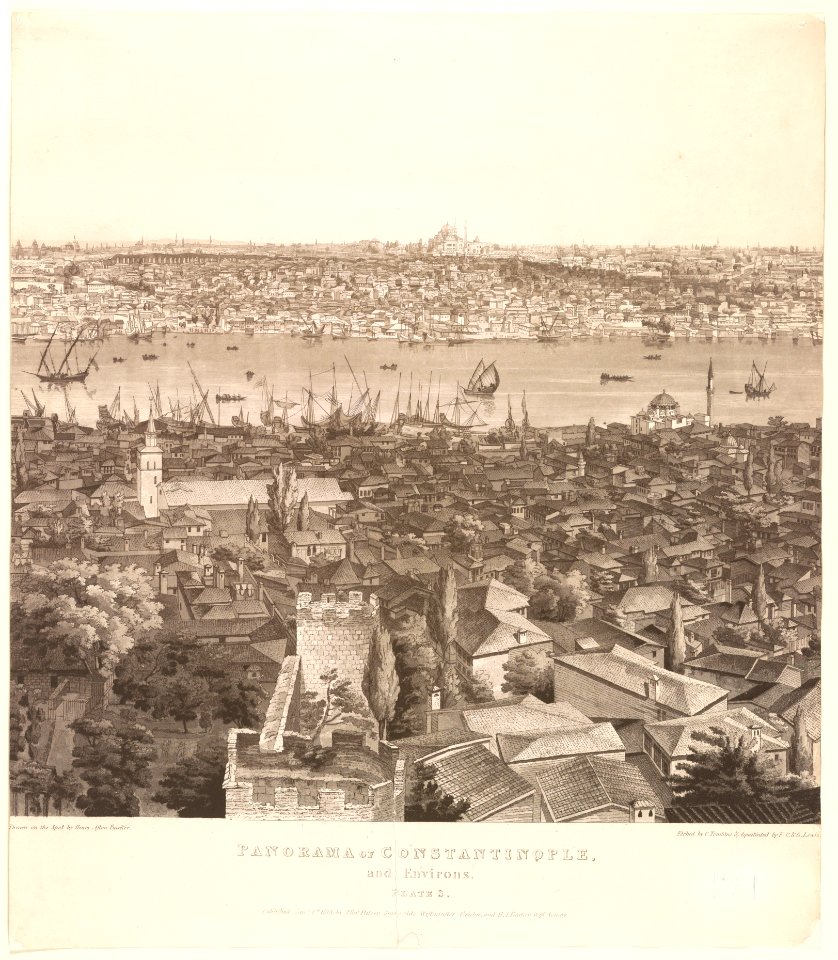 Panorama of Constantinople, and environs ... Plate 3