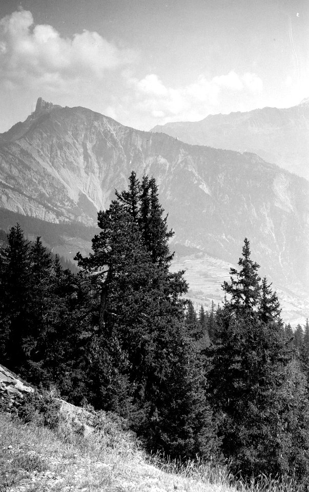 Panorama von Pazroud - CH-BAR - 3237214