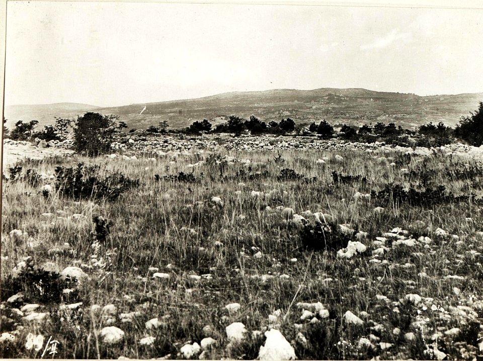 Panorama von Pecinka Kote 291, 29.9.1915. (BildID 15594712)