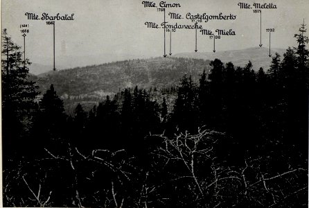 Panorama, Mte.Zebio. (3. Teilbild = WK1 ALB082 24359a) (BildID 15630727)