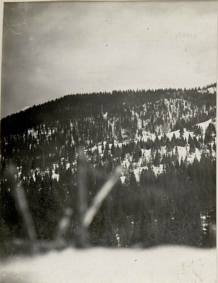 Panorama, Standpunkt bei Mga.2 Post ¤ 1444. (3. Teilbild zu WK1 ALB083 24373a) (BildID 15631994)