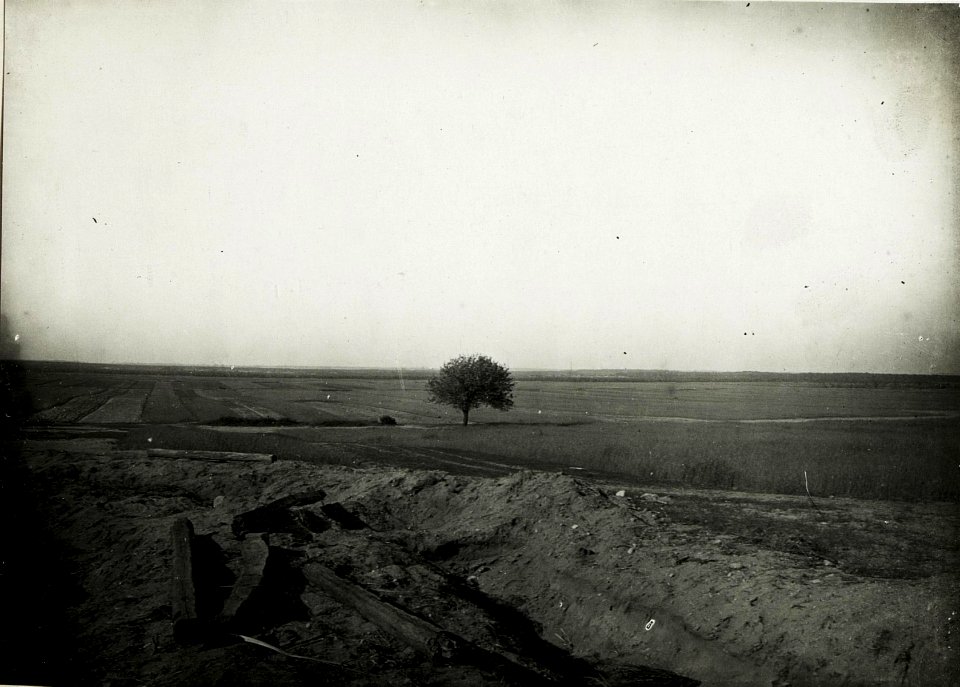 Panorama, Blick auf russische Stellungen östlich Wólka Prusicka. (BildID 15589190)