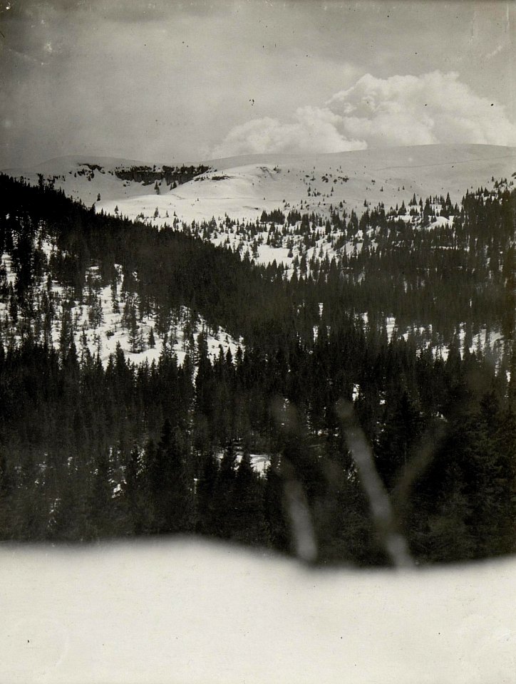 Panorama, Standpunkt bei Mga.2 Post ¤ 1444. (7. Teilbild zu WK1 ALB083 24373a) (BildID 15632022)