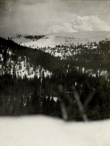 Panorama, Standpunkt bei Mga.2 Post ¤ 1444. (7. Teilbild zu WK1 ALB083 24373a) (BildID 15632022)