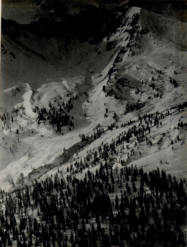 Panorama, Col di Lana, Monte Sief. Standpunkt Sasso di Stria. (4. Teilbild zu WK1 ALB82 24333a) (BildID 15629831)