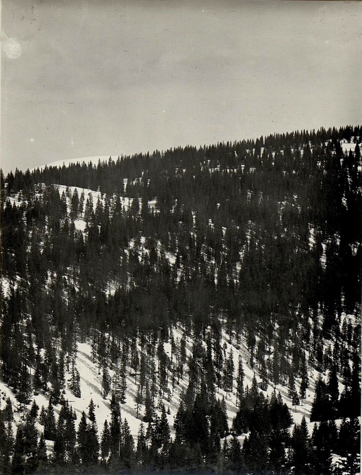 Panorama, Standpunkt Durer. (3. Teilbild zu WK1 ALB983 24371a) (BildID 15631840)
