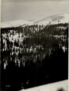 Panorama, Standpunkt Durer. (7. Teilbild zu WK1 ALB983 24371a) (BildID 15631868)