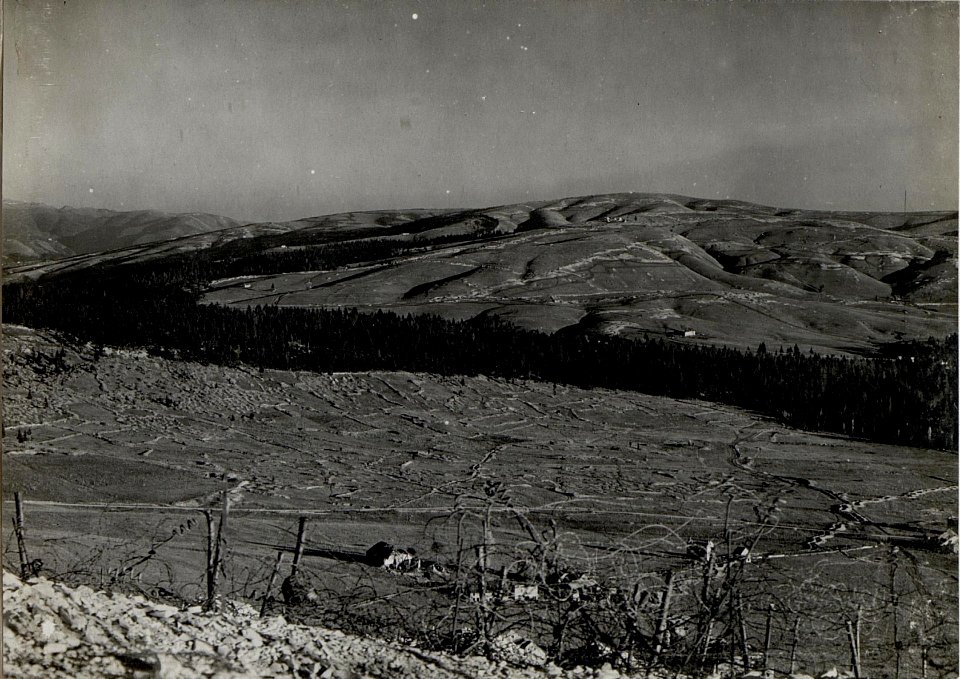 Panorama, Hochfläche von Asiago. Standpunkt Monte Katze. 25m.östlich vom Kreuze 1206. (4. Teilbild zu WK1 ALB083 24401a) (BildID 15633395)