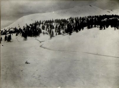 Panorama, Standpunkt Malga Milegna. (3. Teilbild zu WK1 ALB083 24397a) (BildID 15633255)