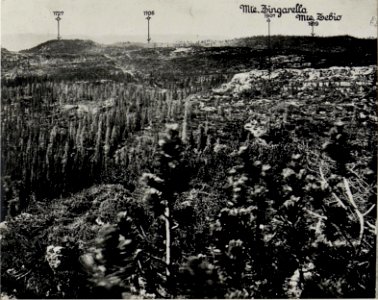 Panorama, J.Ghernari di Bosco secco (False Roccolo.) (6. Teilbild zu WK1 ALB082 24358a) (BildID 15630706)
