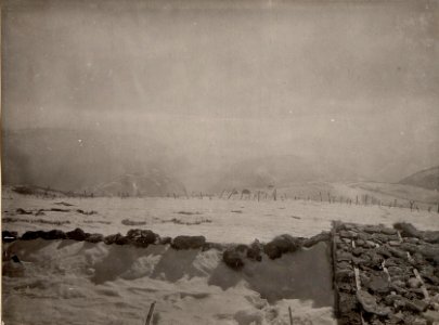 Panorama, Monte Grappa. Standpunkt Monte Lisser. (3. Teilbild zu WK1 ALB084 24416a) (BildID 15634779)