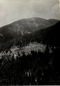 Panorama, Mte. Moscio.. (3. Teilbild zu WK1 ALB082 24362) (BildID 15630798)