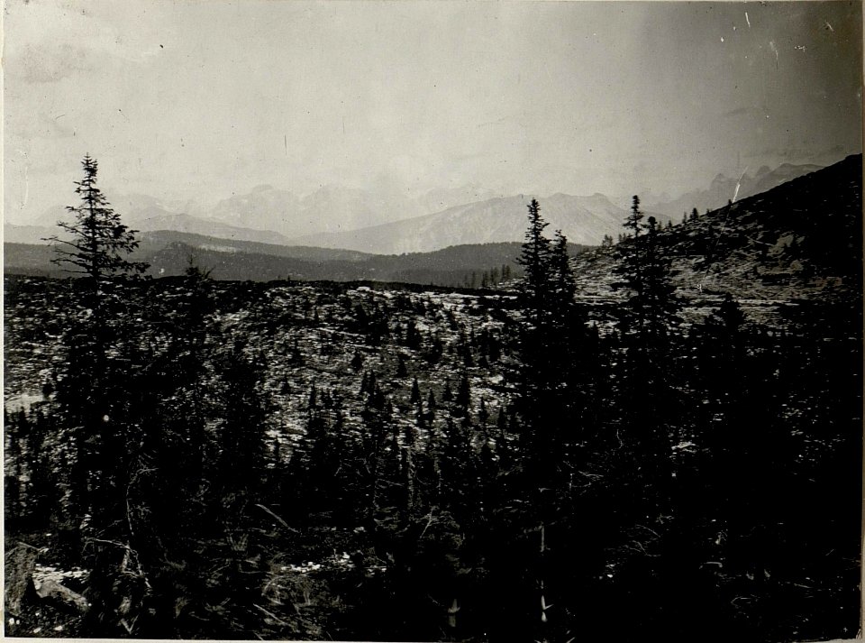 Panorama, Standpunkt Monte Zebio. (4. Teilbild zu WK1 ALB083 24392a) (BildID 15633108)