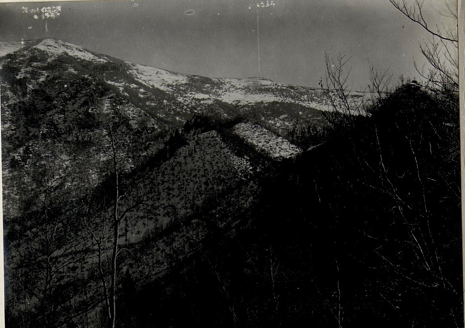 Panorama, Orso-Rücken. Standpunkt Campighetto. (3. Teilbild zu WK1 ALB083 24405a) (BildID 15633536)