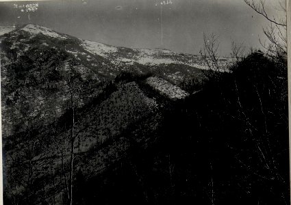 Panorama, Orso-Rücken. Standpunkt Campighetto. (3. Teilbild zu WK1 ALB083 24405a) (BildID 15633536)