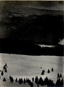 Panorama, Standpunkt Cima di Vezzena. (7. Teilbild zu WK1 ALB082 24366a) (BildID 15631078)