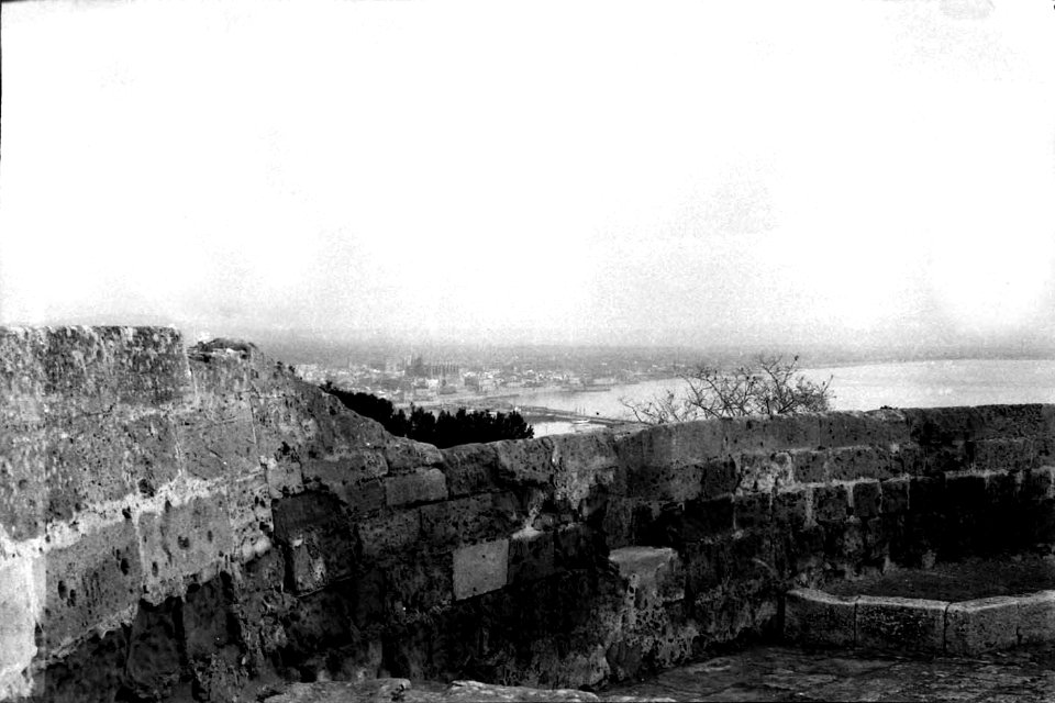 Panorama de Bellver (FMF P 069d)