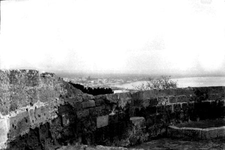 Panorama de Bellver (FMF P 069d)