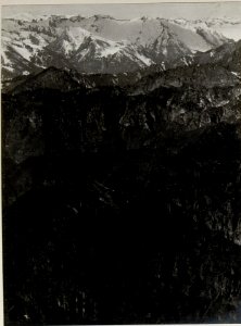 Panorama, Tomeabru, Casetta bis Kte.1229. Standpunkt, Cima d' Oro. (11. Teilbild zu WK1 ALB082 24349a) (BildID 15630174)