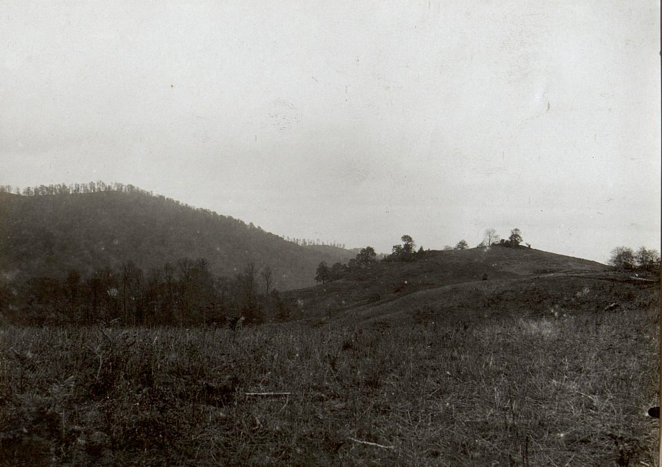 Panorama von der Kosutnja Stopa über Jagodnja bis zum Rücken gegen Kote 769. Ganz rechts die Peterhöhe aufgenommen von 787 (BildID 15660703)