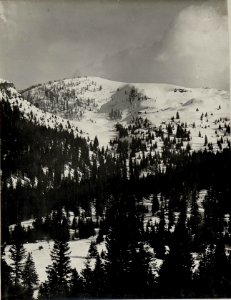 Panorama, Standpunkt Durer. (5. Teilbild zu WK1 ALB983 24371a) (BildID 15631854)