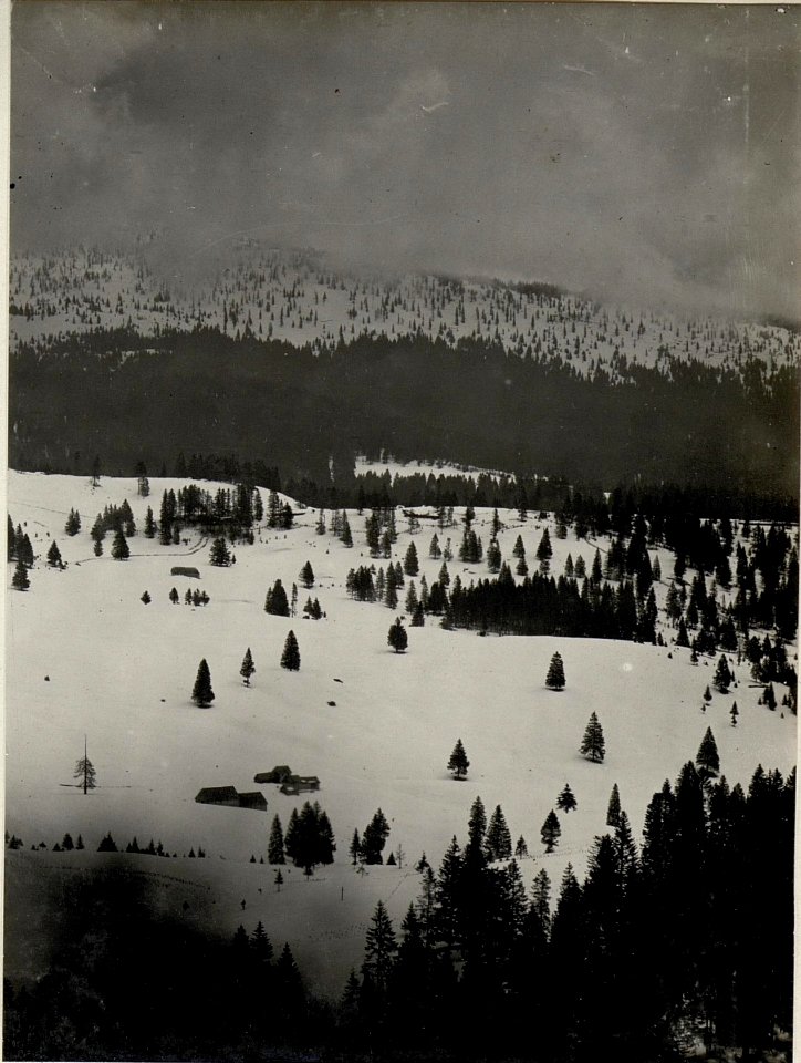 Panorama, Standpunkt Hochstand 9. (Cost' alta.) ( 4. Teilbild zu WK1 ALB083 24369a) (BildID 15631763)