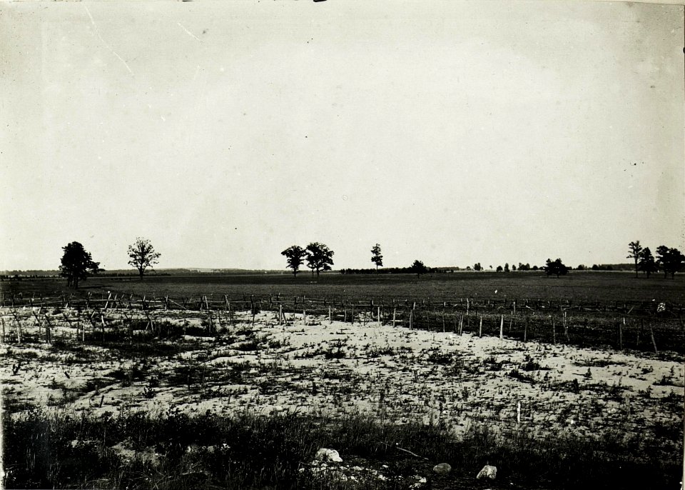 Panorama des russischen Vorfeldes zwischen Mniszkòw und Kolonie Jawòr. Im Vordergrund eigene Drahtverhaue. (BildID 15589916)